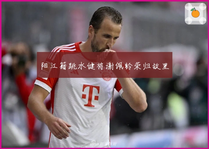 阳江籍跳水健将谢佩铃荣归故里